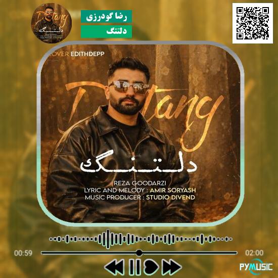 دانلود آهنگ دلتنگ رضا گودرزی 6 دانلود آهنگ دلتنگ رضا گودرزی